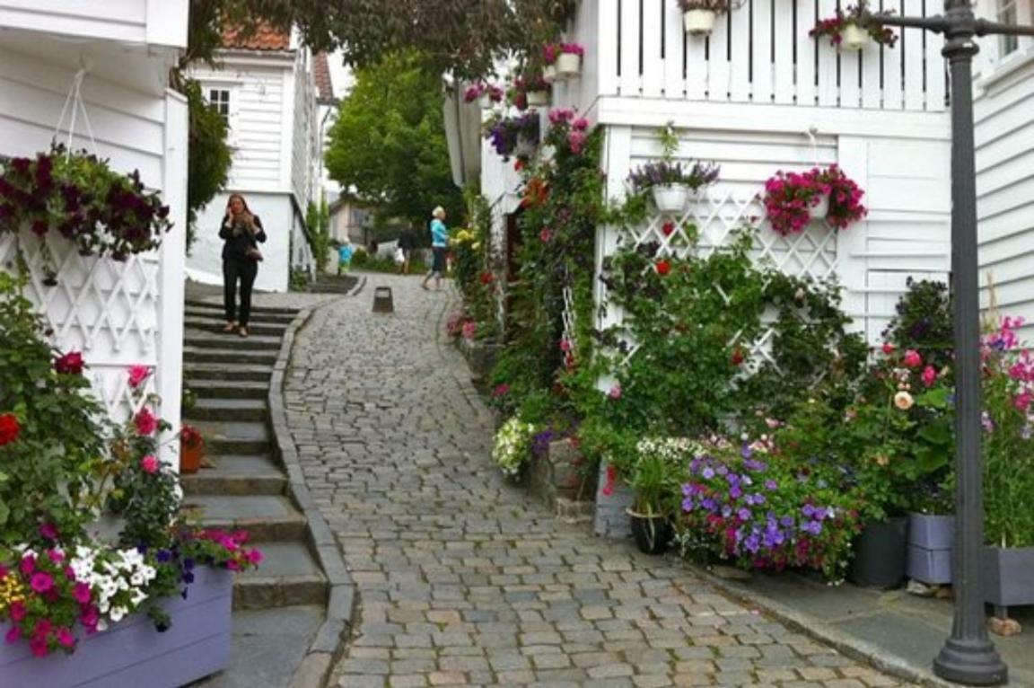 Lägenhet Historical In The Heart Of The Old Town *